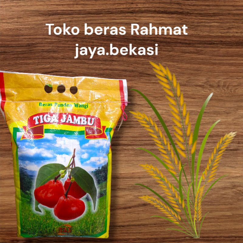 

Tiga jambu(pandan wangi)
