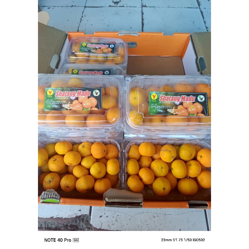 

Shantang madu pack isi 8pcs berat 750gram