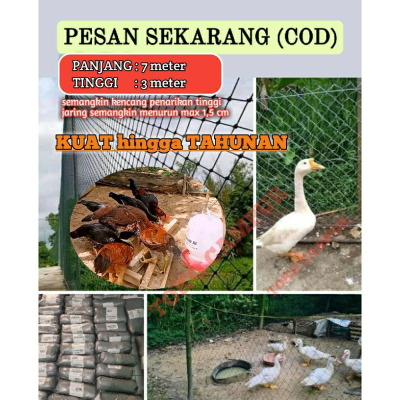 COD, TERLARIS JARING PAGAR AYAM DAN TANAMAN, JARING PAGAR AYAM, JARING PAGAR TANAMAN, JARING PAGAR K