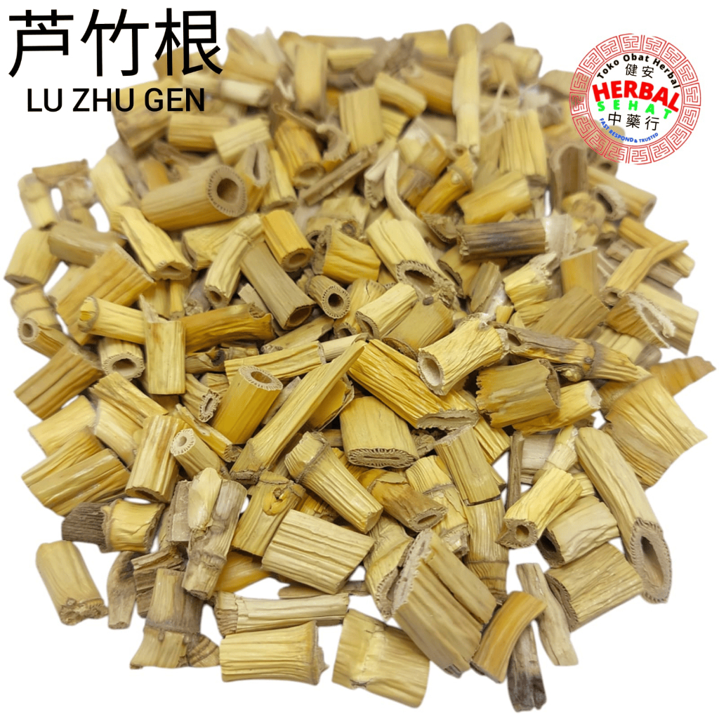 

Lu Zhu Gen 1 Kilogram 芦竹根 Lu Cu Gen Rhizome Of Giantreed / Premium