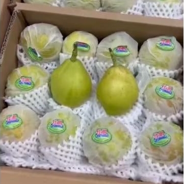 

Buah Pear XIANGLI Asli Jual Per 1 DUS karton