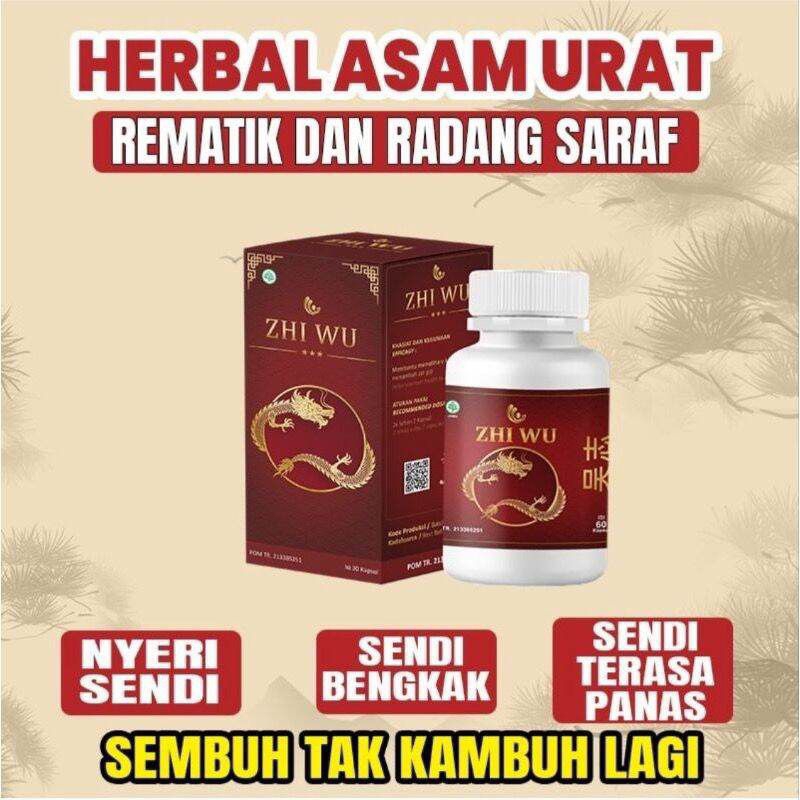 Obat Asam urat herbal China Zhi Wu 60 kapsul