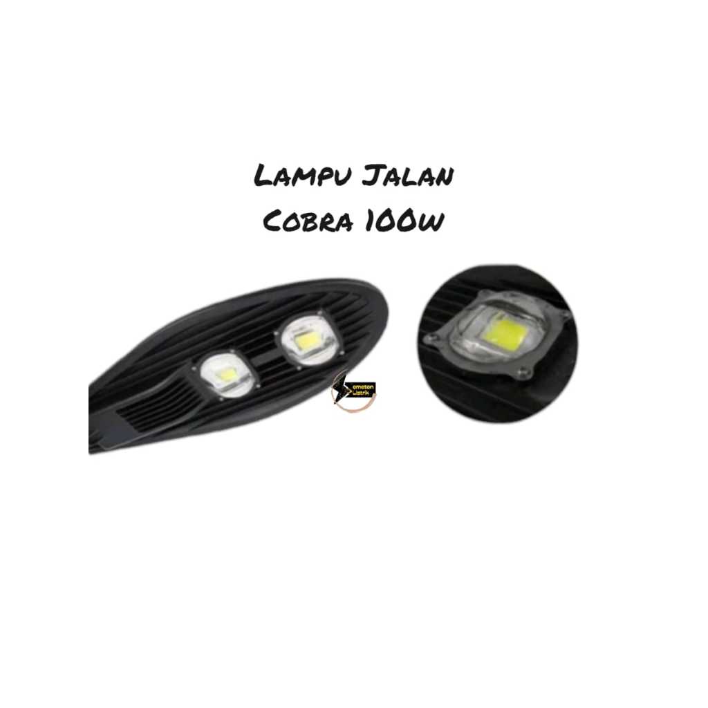 LAMPU JALAN SOLAR CELL 100 WATT TENAGA SURYA PJU COBRA LED
