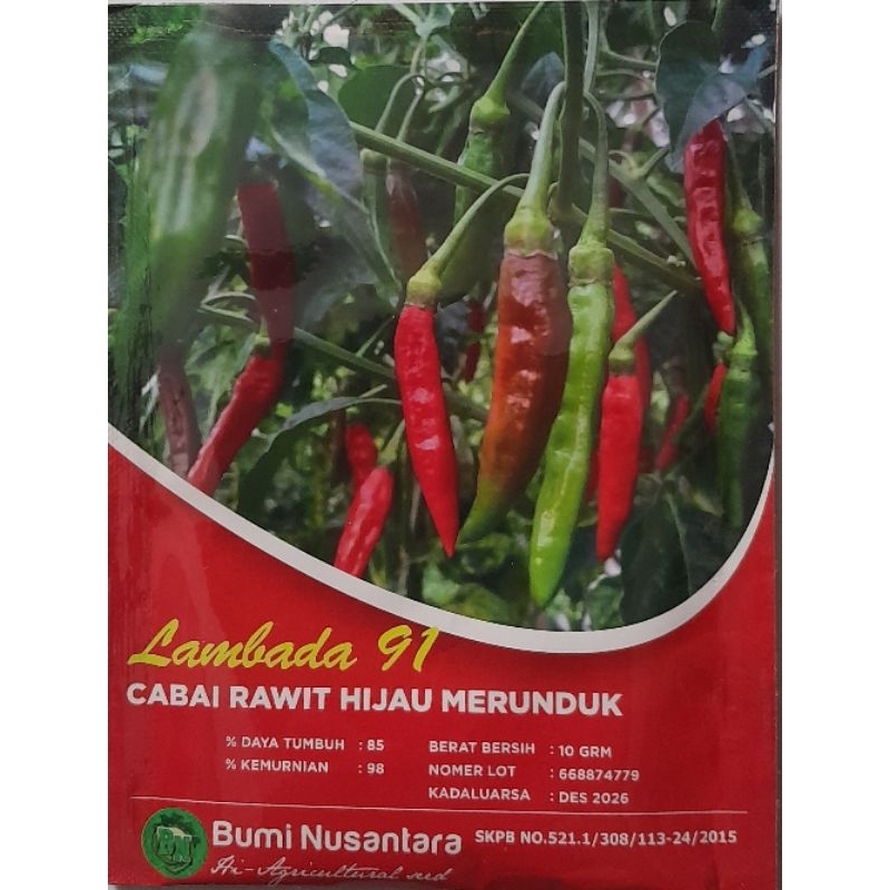 benih cabe rawit hijau merunduk 10 gr LAMBADA TAHAN VIRUS