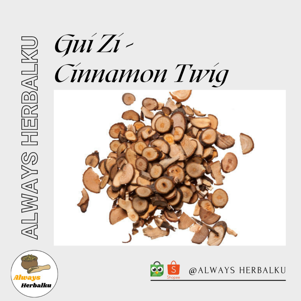 

Gui zi / gui zhi / cinnamon twig (50 gram)