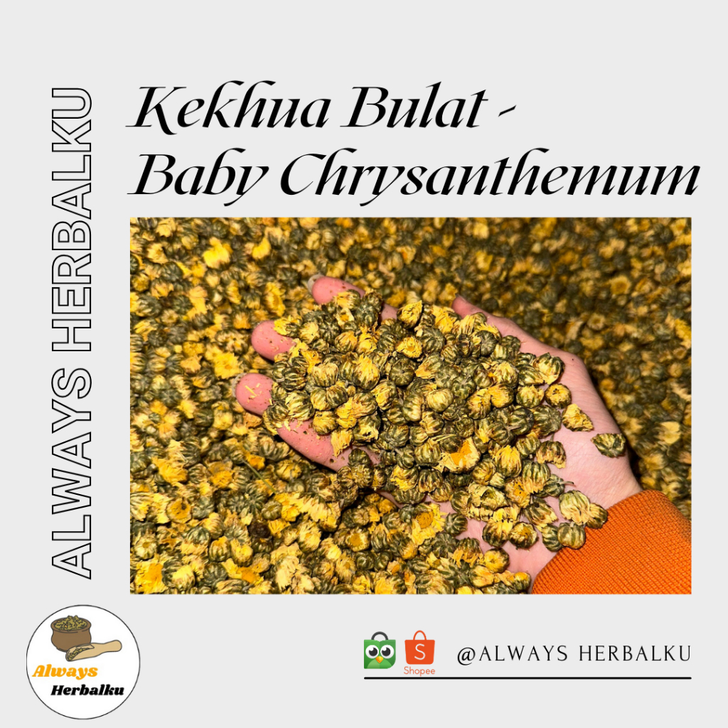 

Kek hua bulat/ chrysanthemum tea buds / kek hwa / Teh bunga krisan / Baby chrysanthemum (250 gram)