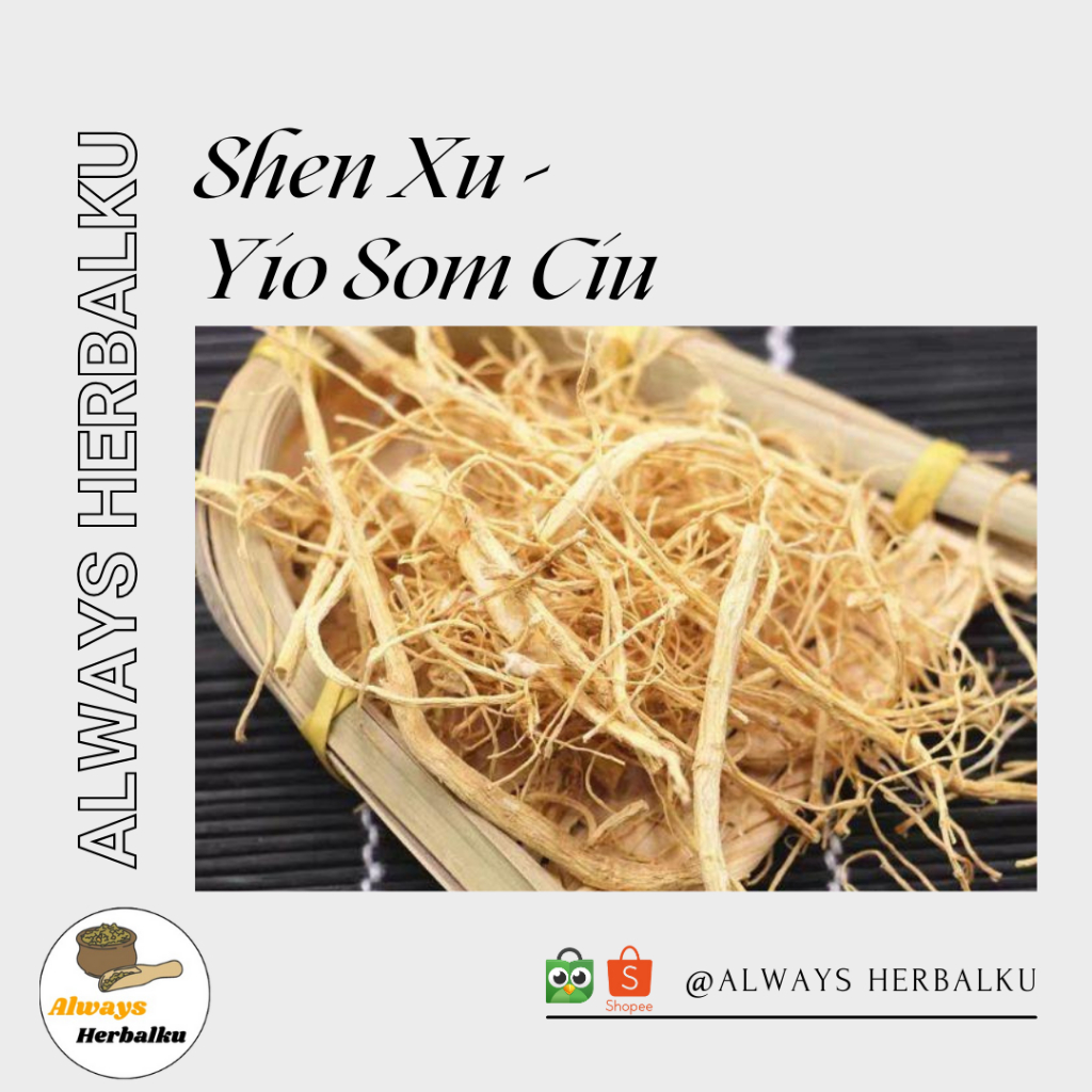 

Yo som chiu / Shen xu / Yang shen xu / Akar ginseng / Som chiu (250 gram)