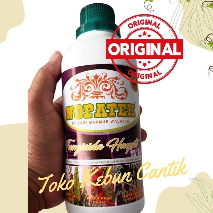 NOPATEK ASLI obat patek cabe TERLARIS organik ampuh CEGAH antraknosa & busuk daun secara ALAMI