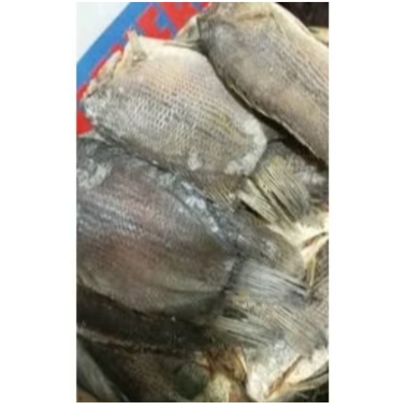 

Ikan asin sepat sapil/ikan asin asli sawah air tawar/ikan asin asli palembang