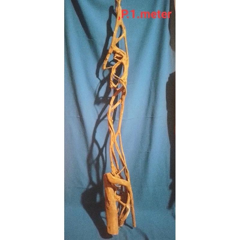 akar kayu mimang unik asli  alam