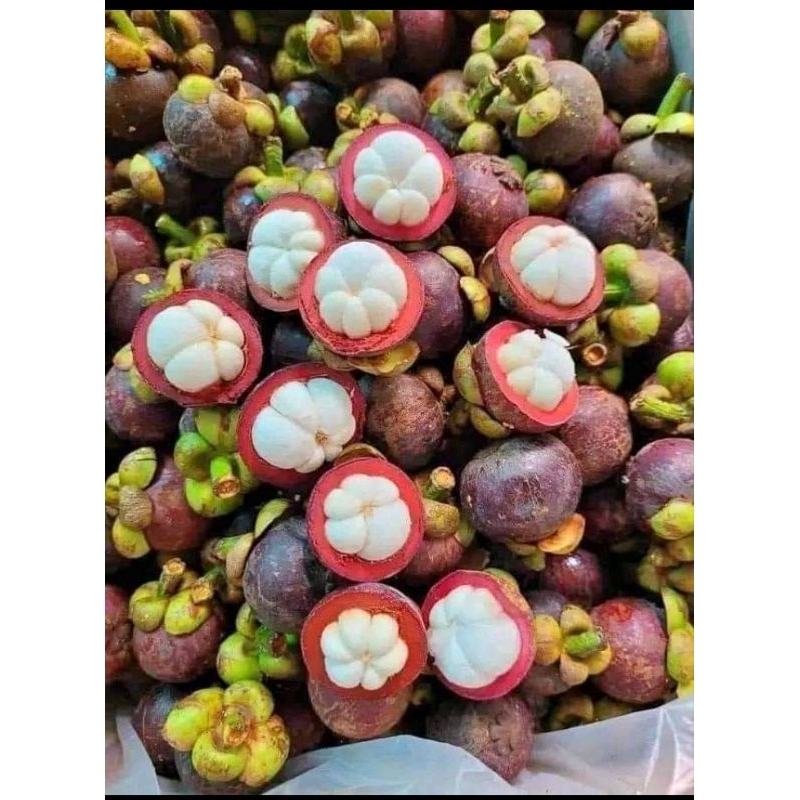 

manggis segar isi 1kg