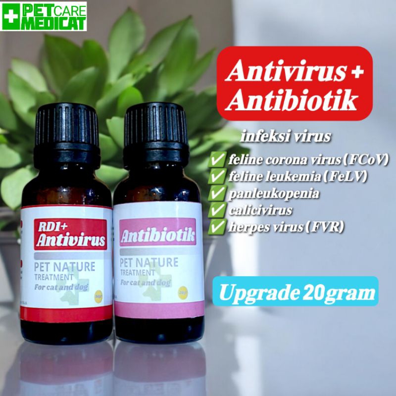 Obat virus kucing obat virus kucing 20gram obat virus + antibiotik PETCARE MEDICAT