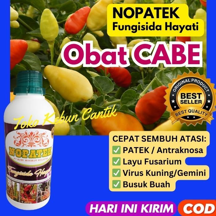 NOPATEK Fungisida Hayati Ampuh Atasi Penyakit pada Tanaman Sayur Padi, Cabe, Mentimun, Kacang, Tomat