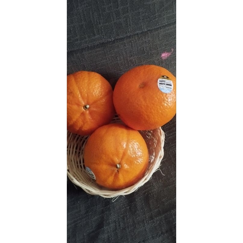 

jeruk murcot aus jeruk honey murcot