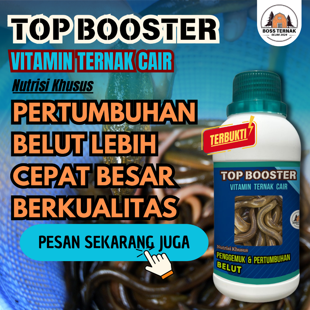 Vitamin Belut Probiotik Booster Mempercepat Masa Pertumbuhan Dan Perbaiki Kualitas Bibit Boss Ternak