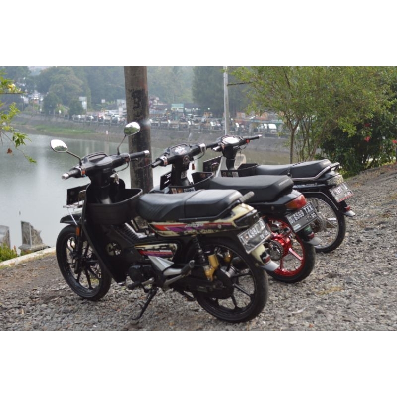 bodi bulus astrea grand original