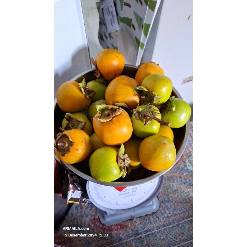 

Buah Kesemek Segar/ Kasma / Buah Genit 1 kg/Buah Persimmon Buah Kesemak Murah Segar Manisan Kesemek Bibit Kesemek Lokal