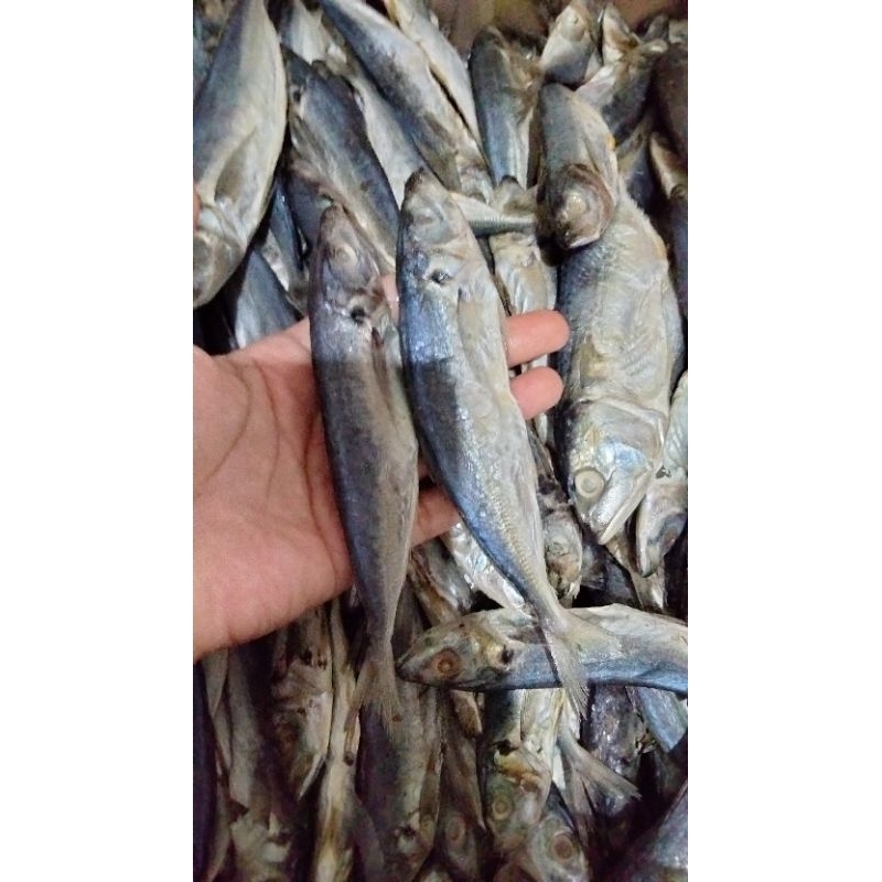 

ikan klotok/layang 250g/500g/1kg