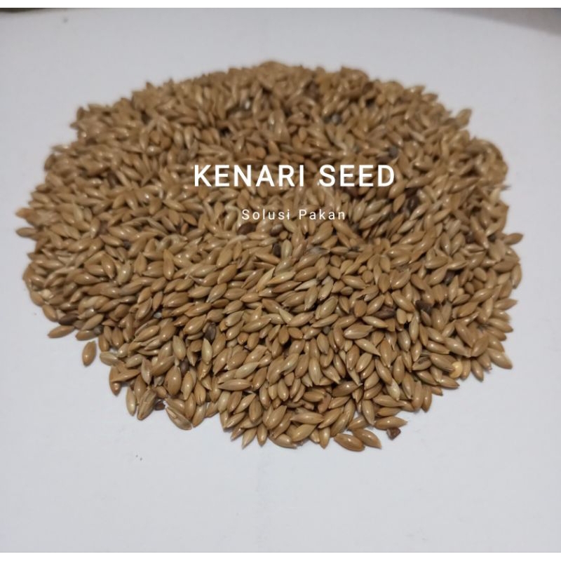 Pakan Burung Kenari/ Kenari Seed 1kg