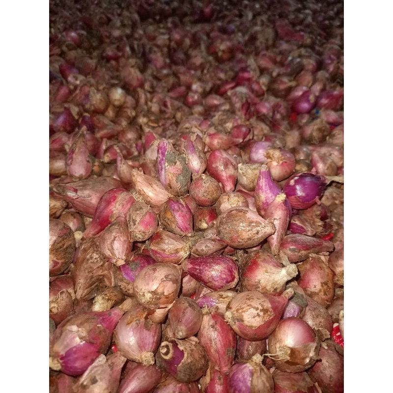 

Bawang Merah Campur Asli Brebes