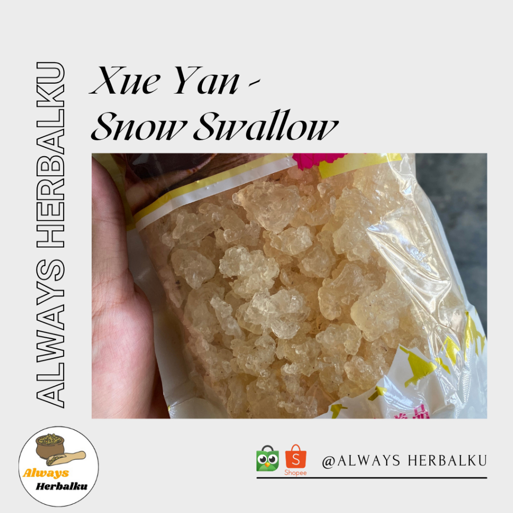 

Snow swallow / Sarang walet / Xue yan / bird nest (500 gram)