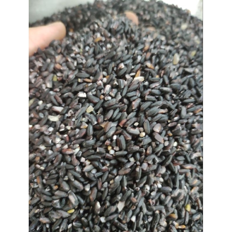 

Beras KETAN HITAM Perliter 1 Liter
