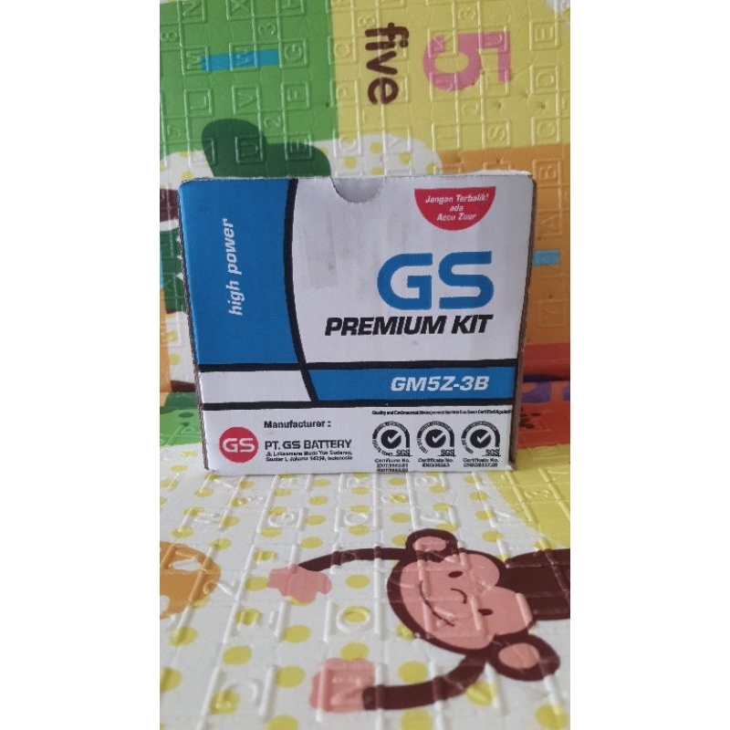 AKI MOTOR GM5Z-3B GS PREMIUM KIT