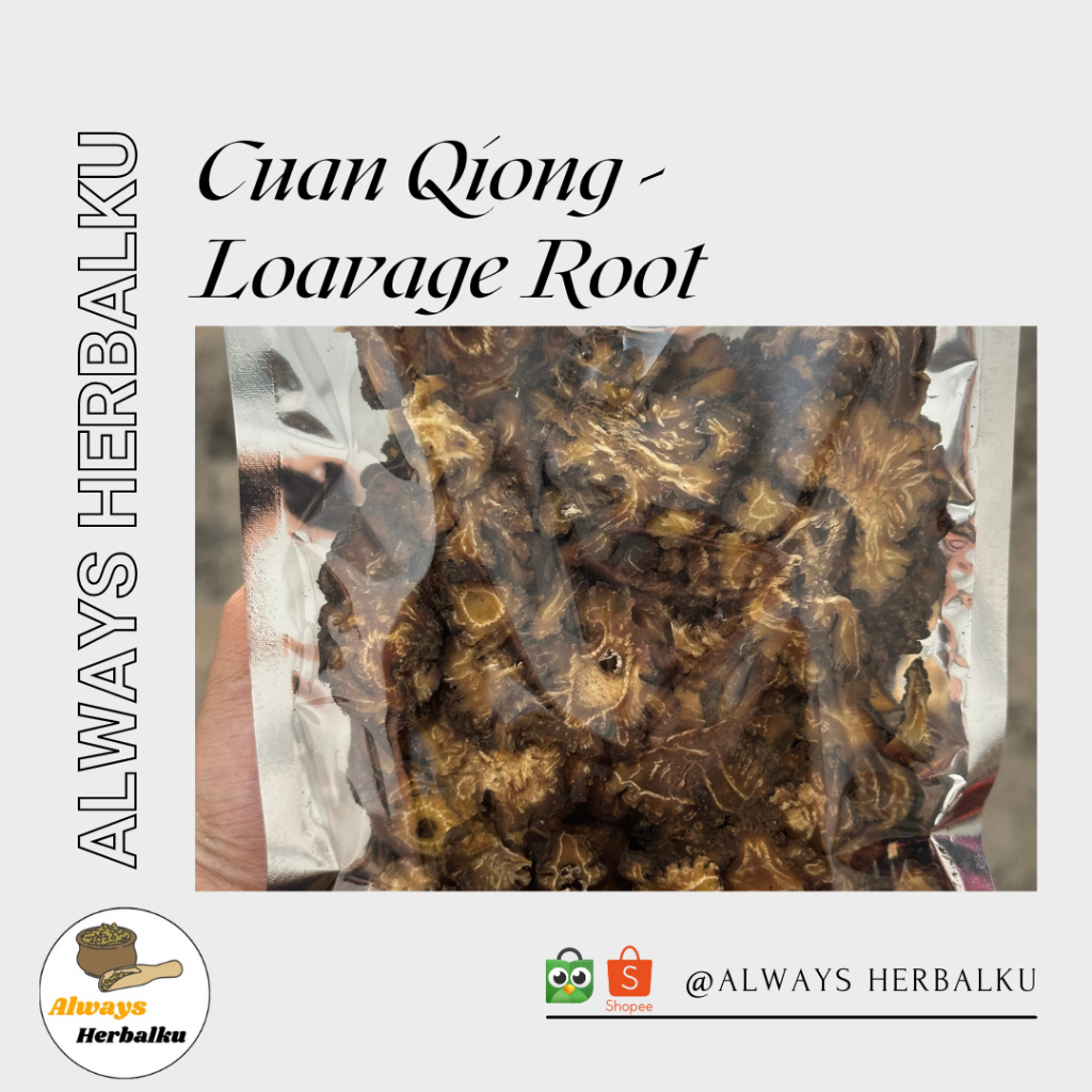 

Cuan qiong / Chuan qiong / Loavage root (500 gram)