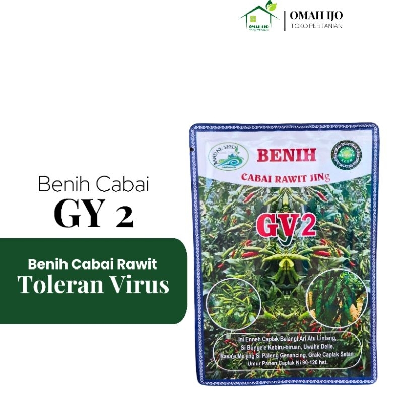 Benih Cabe GY2 10gr Lokal Aceh Buah Lebat Original Cabe Rawit Hijau Gayo 2 Aceh