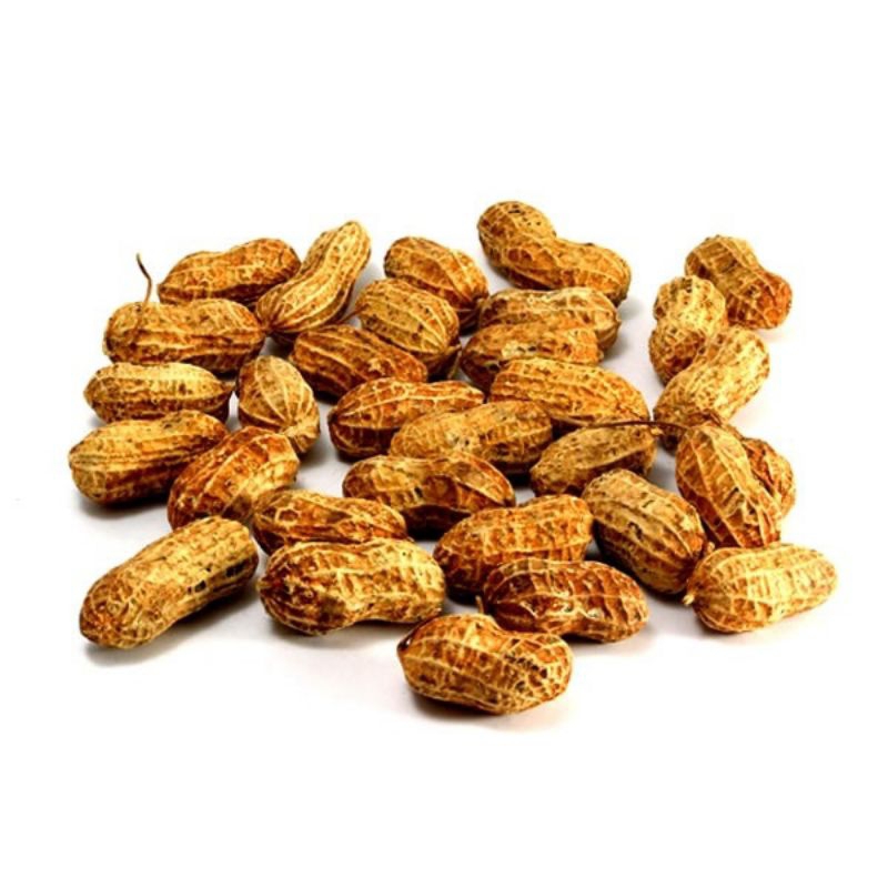 

Kacang Tanah Rebus Mentah / Berat 1 kg