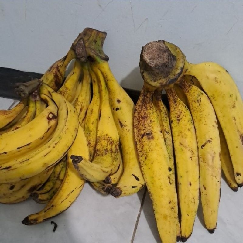

Pisang tanduk super isi 1kg 3-5 pcs