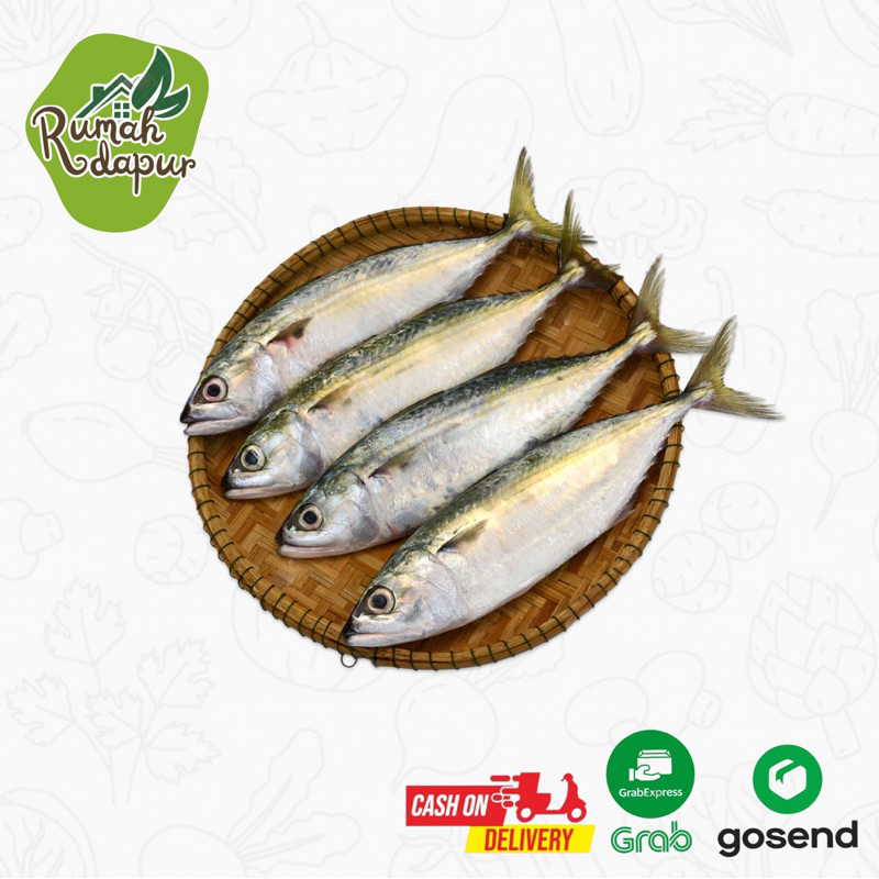 

IKAN KEMBUNG PEDA SEGAR / BERAT 500G
