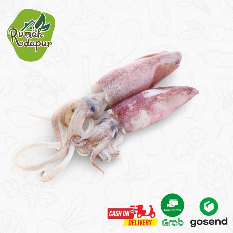 

CUMI SEGAR / 250 Gram