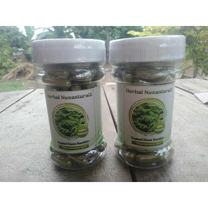 Kapsul daun kenikir isi 100 butir 100% murni herbal kenikir