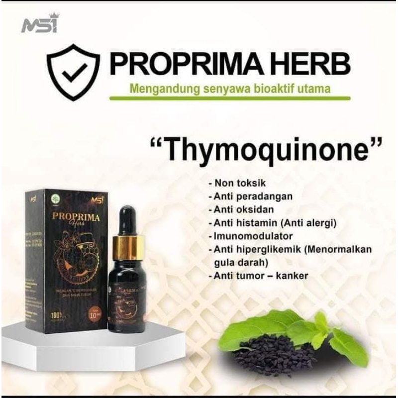 

SALE PROPRIMA 1 BOTO