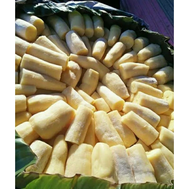 

TAPE SINGKONG KUNING TAPE BOGOR 1 KG