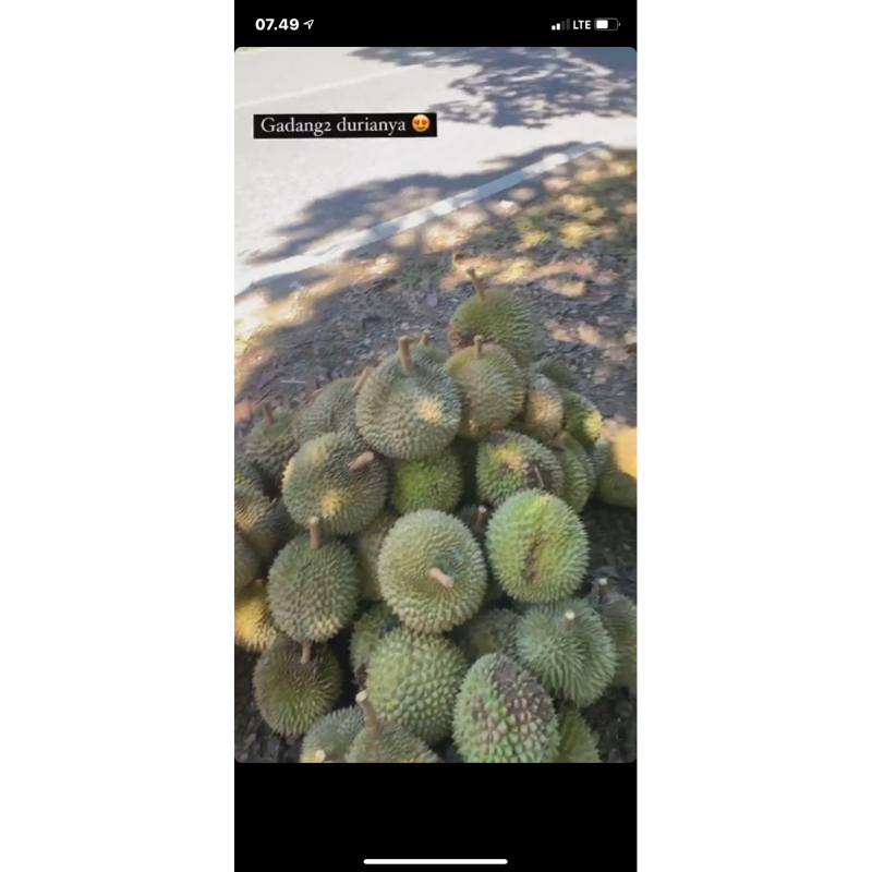 

Durian
