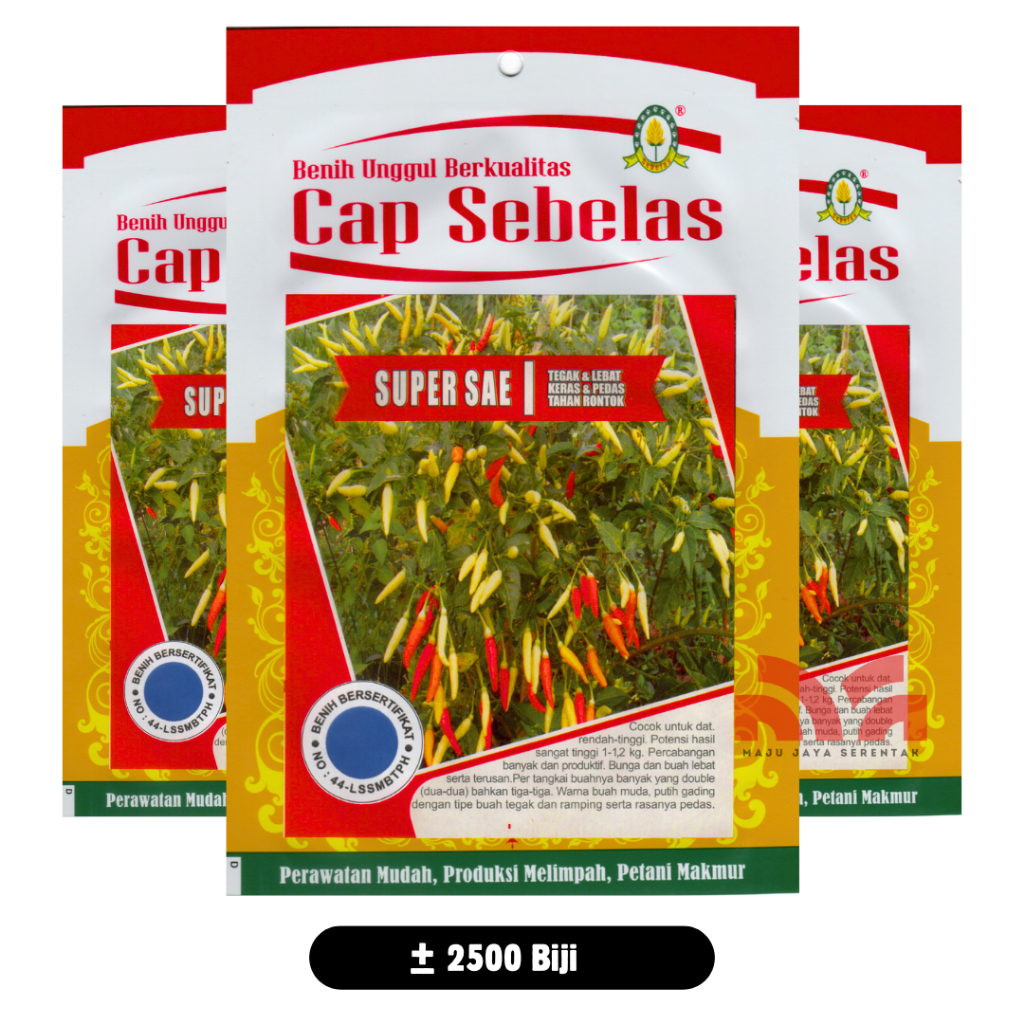 Cabe Rawit SuperSae Lebat Tahan Virus