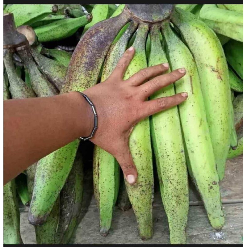 

PISANG TANDUK/BAGJA ORIGINAL MATANG KETIKA UDAH SAMPAI NETTO 1 KG