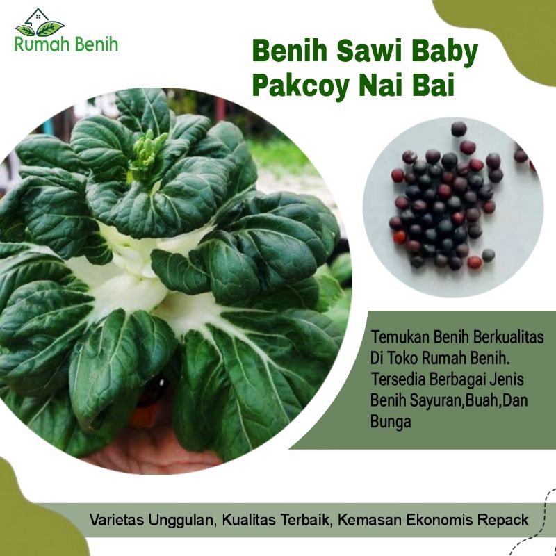 Benih Sawi Baby Pakcoy Nai Bai Unggulan / Bibit Benih Sawi Nai Bai / Biji Benih Baby Pakcoy / Benih 