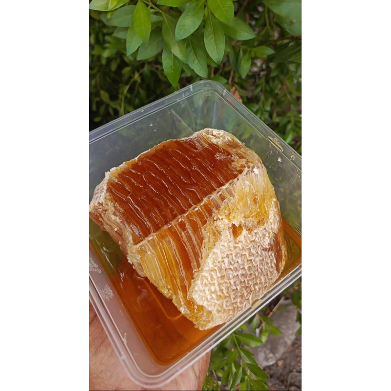 

madu_hutan_1/2kg