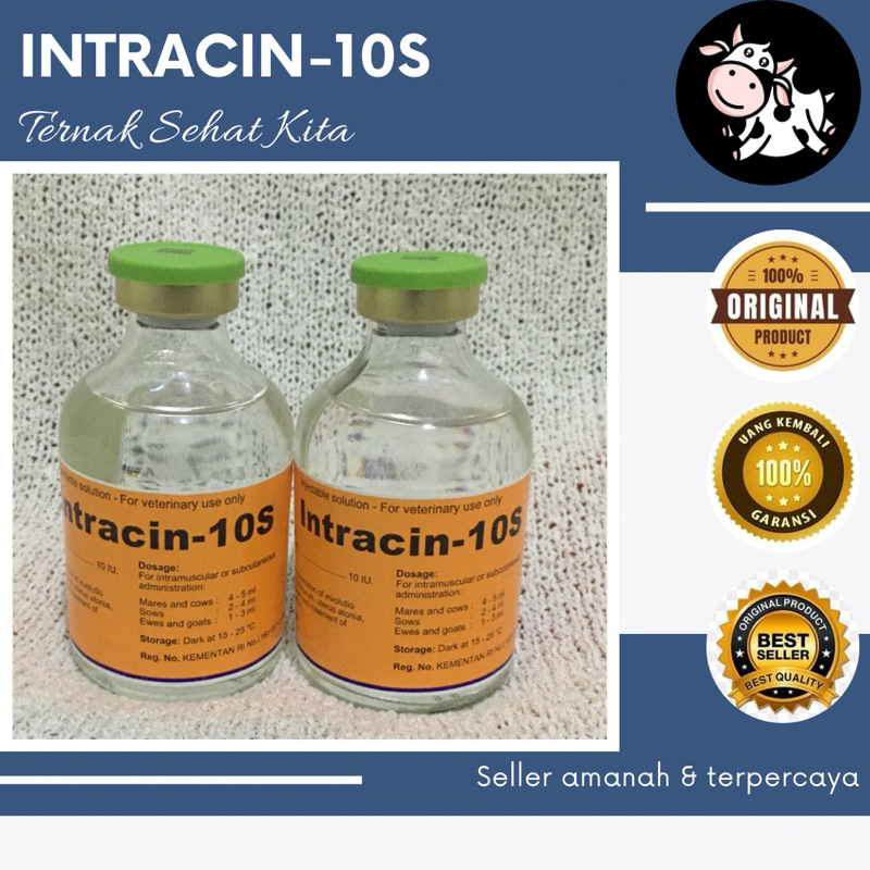 Intracin 10s oxytoxin memperlancar air susu