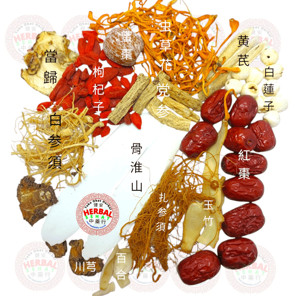

Best Seller Tim Ayam Obat / Halal / Tidak Pahit 14 Bahan Premium / Akar Ginseng Korea/ Nifas