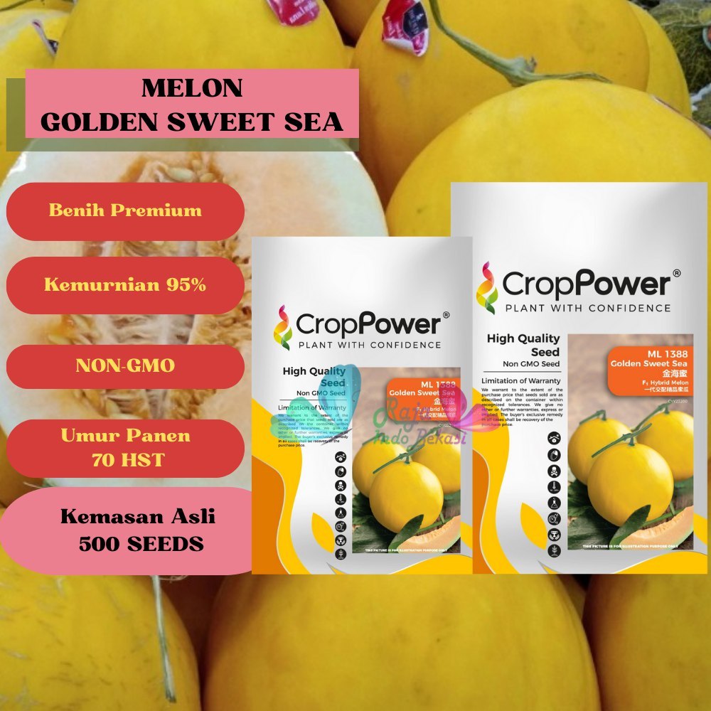 ORI BENIH F1 MELON GOLDEN SWEET SEA SUPER MANIS BIBIT MELON GOLDEN PREMIUM EKSLUSIF SWEET NET