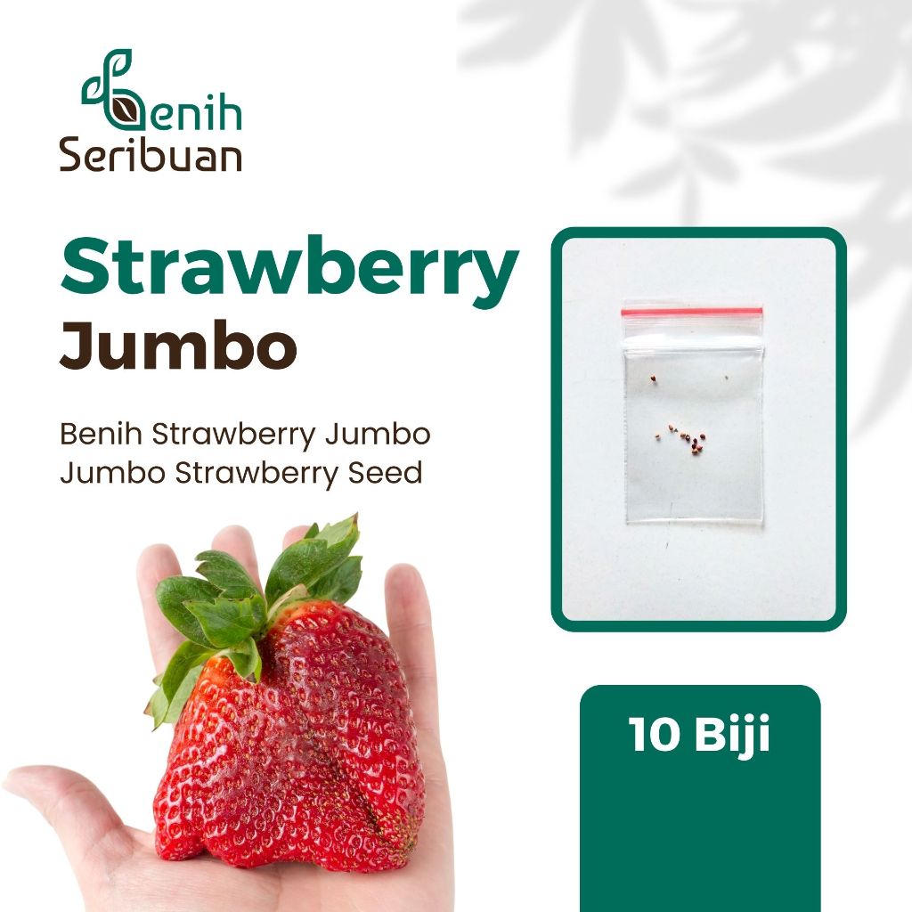 10 Benih Bibit Strawberry Jumbo Buah Manis Stroberi California Import Premium Bisa Dataran Rendah
