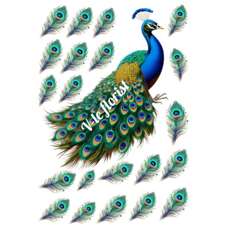 TOPPER BURUNG MERAK SESERAHAN//HIASAN BUKET UANG// BURUNG MERAK