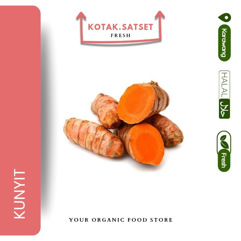 

kunyit bumbu dapur