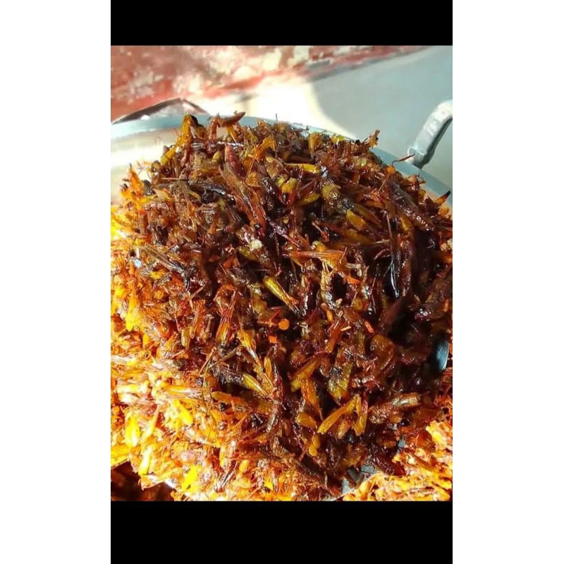 

SambalBelalangkhasLombok
