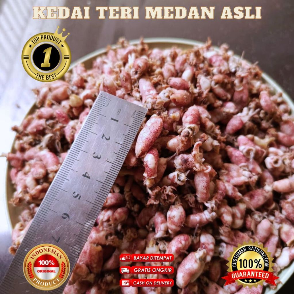 

Baby Cumi Asin Kering Kualitas Super Premium