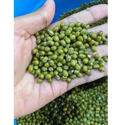 

Kacang Hijau lokal,1Kg Kacang Hijau original kualitas super